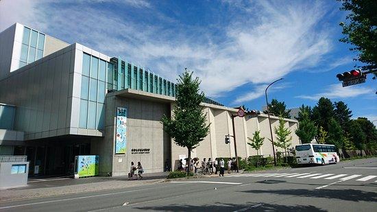 The Kyoto University Museum